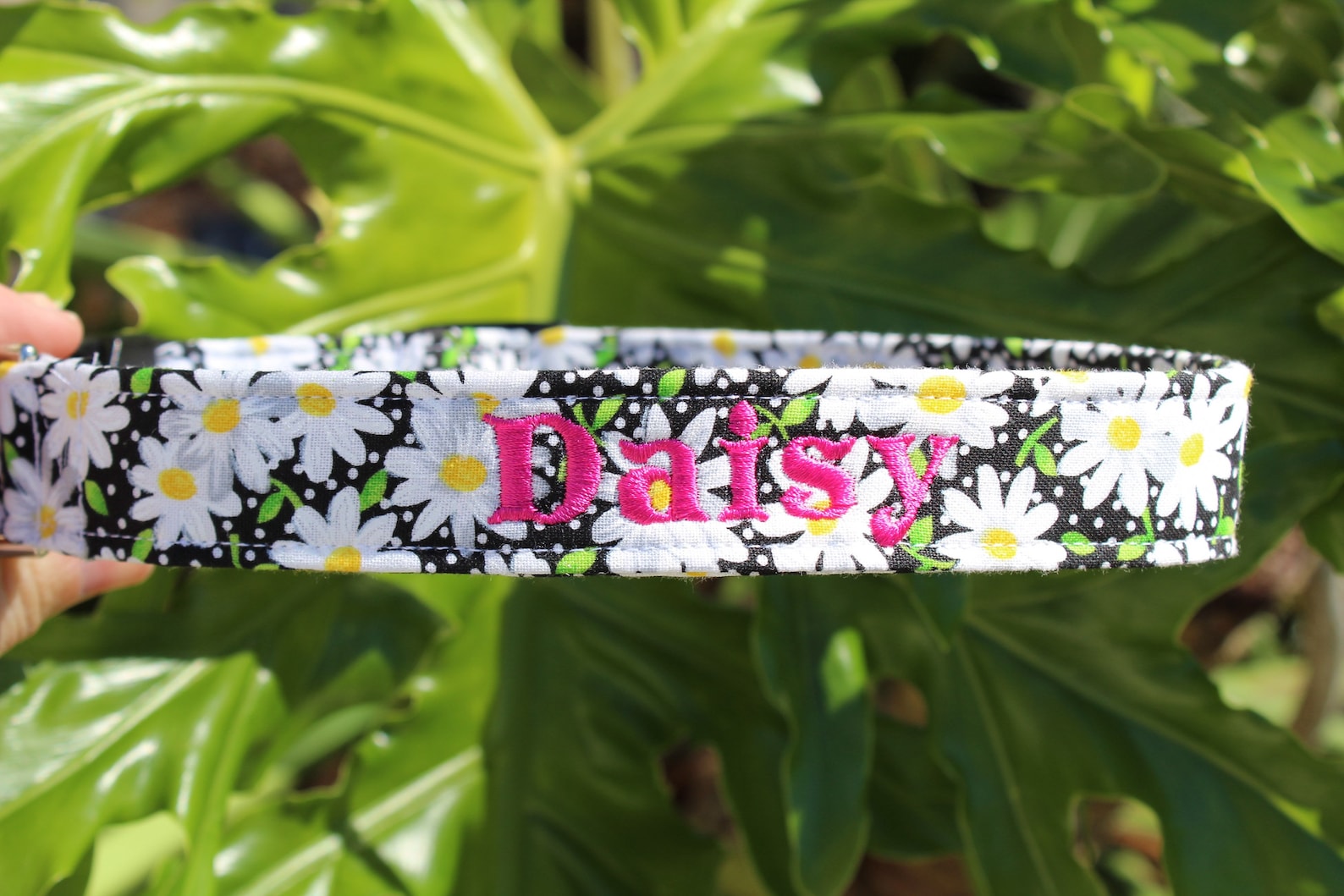 Daisy Dog Collar Embroidered Dog Collar Floral Dog Collar Etsy