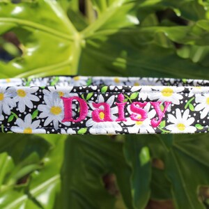 May include: Black and white daisy print dog collar with pink embroidered text "Daisy".