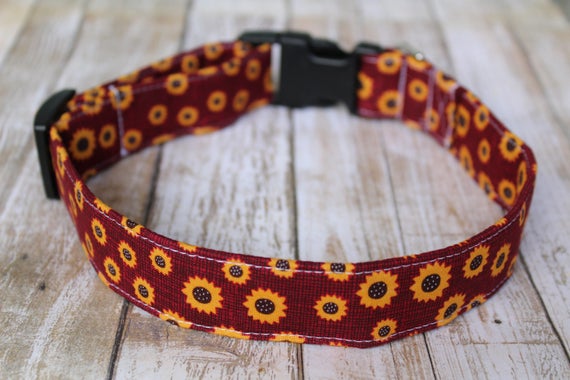 sunflower dog collar and leash