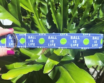 May include: A blue dog collar with the text "BALL IS LIFE" in white and green tennis ball graphics. The collar has a silver metal D-ring for leash attachment. The background is a lush green foliage.