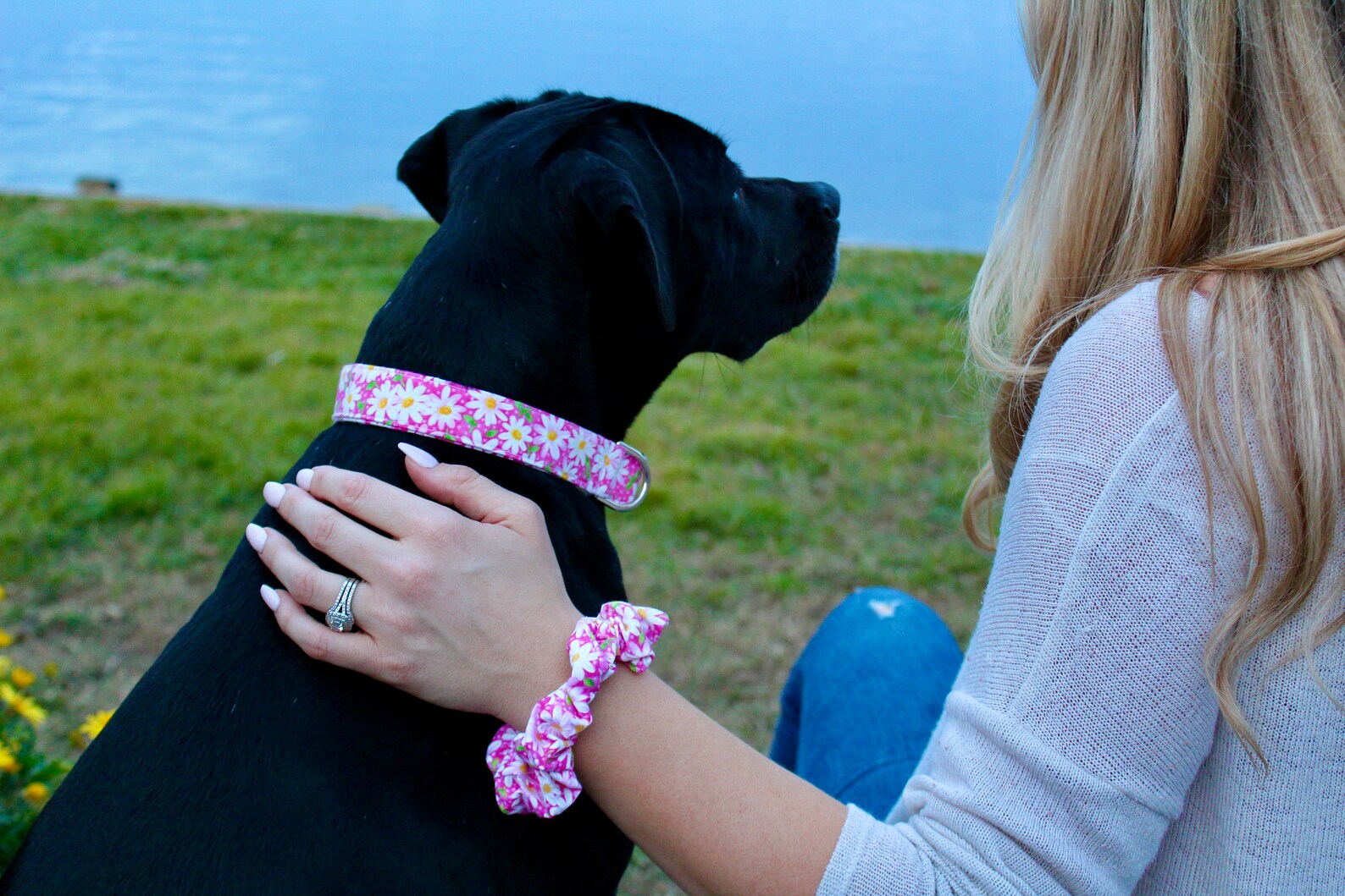 Daisy Dog Harness Girl Dog Harness Personalized Dog Etsy