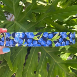 May include: A blue and white patterned dog collar with a silver D-ring. The collar features a blueberry design.