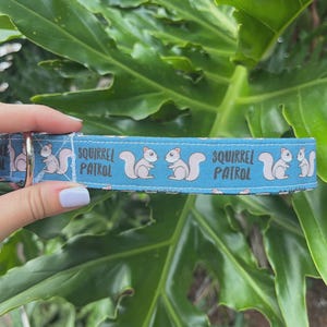 Squirrel Patrol Dog Collar - Funny Dog Collar