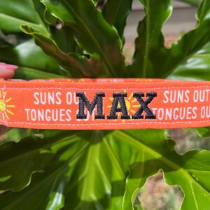 Op de afbeelding: Oranje hondenhalsband met de geborduurde naam "MAX" in zwart garen. De halsband heeft de tekst "SUNS OUT TONGUES OUT" en gele zonnegraphics. Er is een zilveren metalen D-ring bevestigd.