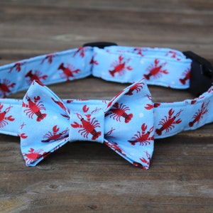 Lobster Bow Tie Dog Collar - Boy Dog Collar - Embroidered Dog Collar - Dog collar with Name - Personalized Dog Collar - Nautical Dog Collar