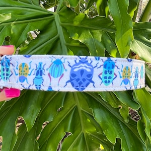 Bug Dog Collar - Insect Dog Collar - Spring Dog Collar - Dog&#39;s Name Collar - Beetle dog collar