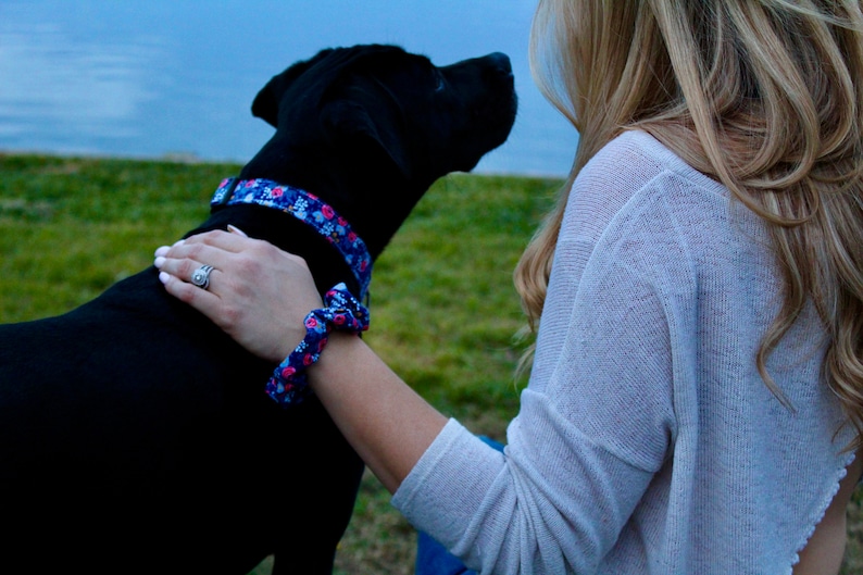 Girl Dog Harness Dog Harness Name Female Dog Harness Etsy