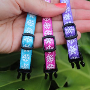 May include: Three adjustable cat collars with snowflake patterns. The collars are blue, pink, and purple.