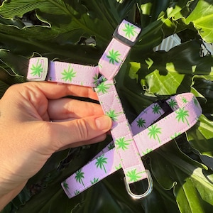 Pink Dog Harness - Personalized Dog Harness - Girl Dog Harness - Palm Tree Dog Harness