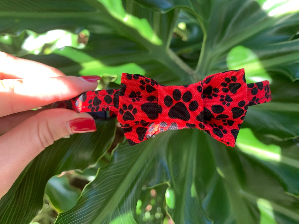 Red and Black Paws Cat Bow Tie Collar Cute Cat Collar Male Etsy