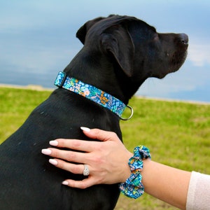 Niedliches Hundegeschirr Personalisierte Benutzerdefinierte Stickerei Haustiergeschirr mit Namen Einstellbar No-Pull-Welpen-kleiner Hundeblumengeschirr Bild 5
