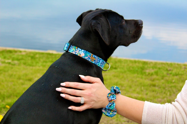 Niedliches Hundegeschirr Personalisierte Benutzerdefinierte Stickerei Haustiergeschirr mit Namen Einstellbar No-Pull-Welpen-kleiner Hundeblumengeschirr Bild 5