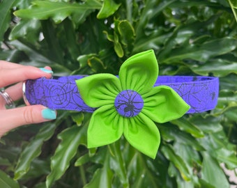 Halloween Dog Collar - Spider Dog Collar - Personalized Dog Collar - Spooky Dog Collar - October Dog Collar - Fall Dog Collar