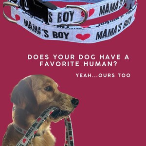 May include: A light-colored dog collar featuring the repeating black text MAMA'S BOY and red heart icons, equipped with a black plastic buckle and a silver metal D-ring. The collar is shown coiled and also worn by a golden-colored dog.