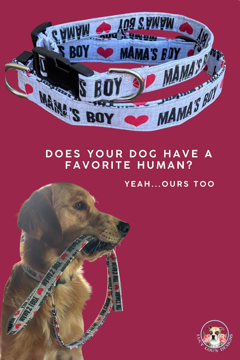 May include: A light-colored dog collar featuring the repeating black text MAMA'S BOY and red heart icons, equipped with a black plastic buckle and a silver metal D-ring. The collar is shown coiled and also worn by a golden-colored dog.