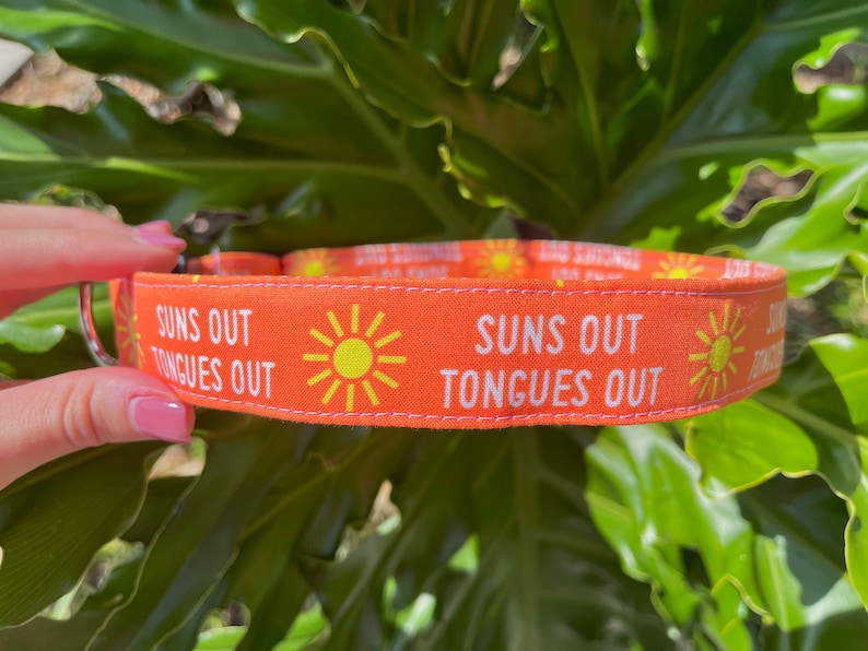 Op de afbeelding: Oranje hondenriem met de witte tekst "SUNS OUT TONGUES OUT". Het ontwerp bevat een herhaald patroon van een gele zon. De halsband wordt door een persoon vastgehouden.