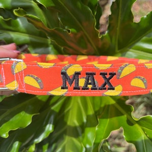 Taco Dog Collar - Food Dog Collar - Personalized Dog Collar - Cinco de Mayo Dog Collar - Taco Dog Harness - Fiesta Dog Collar