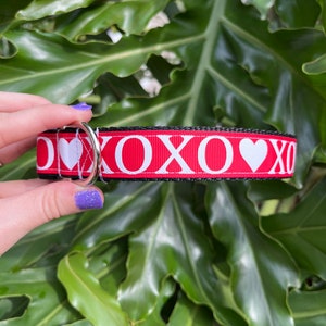 XoXo Dog Collar - Valentine Dog Collar - Love Dog Collar
