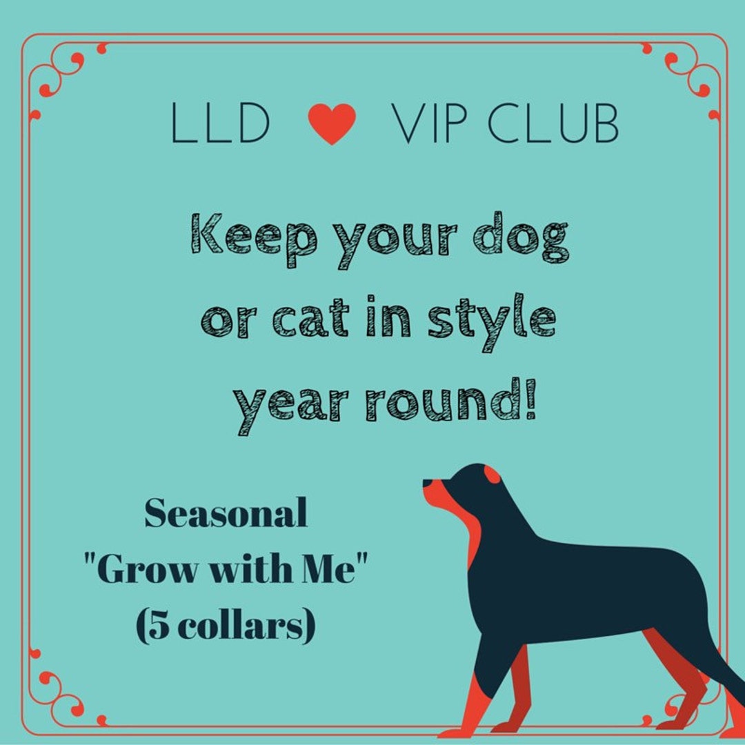 LLD VIP CLUB Seasonal Dog Collar Subscription Grow With Me Collars