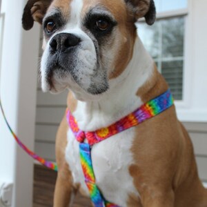 Tie Dye Dog Harness - Personalized Dog Harness - Unisex Dog Harness - Large Dog Harness - Custom Dog Harness - Adjustable Dog Harness image 4