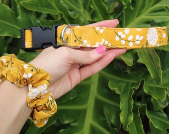 May include: A yellow and white floral patterned dog collar with a black buckle and a matching scrunchie.