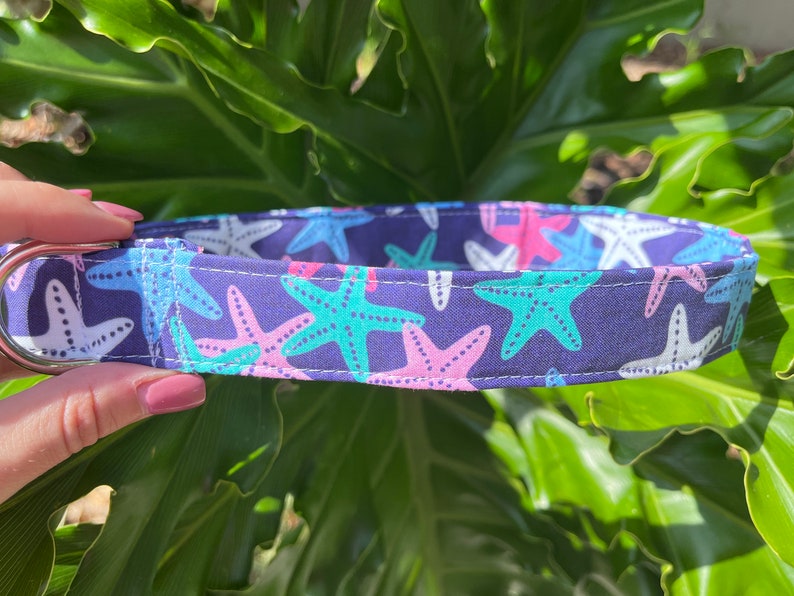 May include: A blue dog collar with a white metal D-ring. The collar is decorated with a repeating pattern of pink, blue, and white starfish.