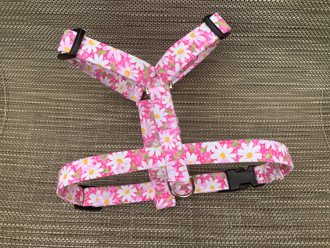 Daisy Dog Harness Girl Dog Harness Personalized Dog Harness Female Dog