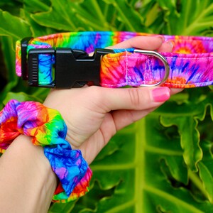 May include: A tie-dye dog collar and matching scrunchie. The collar has a black plastic buckle and a silver metal D-ring. The fabric features a vibrant pattern of rainbow colors including pink, blue, yellow, and green.