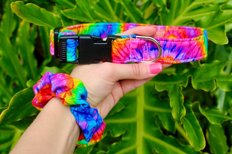 May include: A tie-dye dog collar and matching scrunchie. The collar has a black plastic buckle and a silver metal D-ring. The fabric features a vibrant pattern of rainbow colors including pink, blue, yellow, and green.