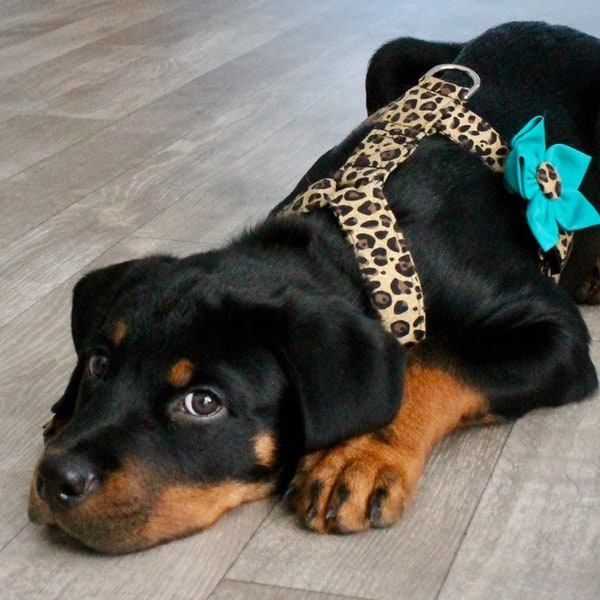 Leopard Print Dog Harness - Personalized Dog Harness - Jaguar Dog Collar - Animal Print Harness - Monogram Dog Collar - Custom Dog Harness