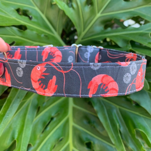 Shrimp Dog Collar - Seafood Dog Collar - Personalized Dog Collar - Embroidered Dog Collar - Nautical Dog Collar - Monogrammed Collar