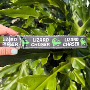May include: Black and green dog collar with the text "Lizard Chaser" and a green lizard graphic.