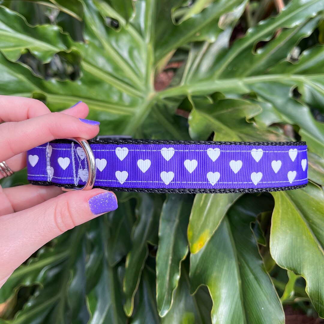 Purple Heart Dog Collar Love Dog Collar Valentine's Day Dog Collar