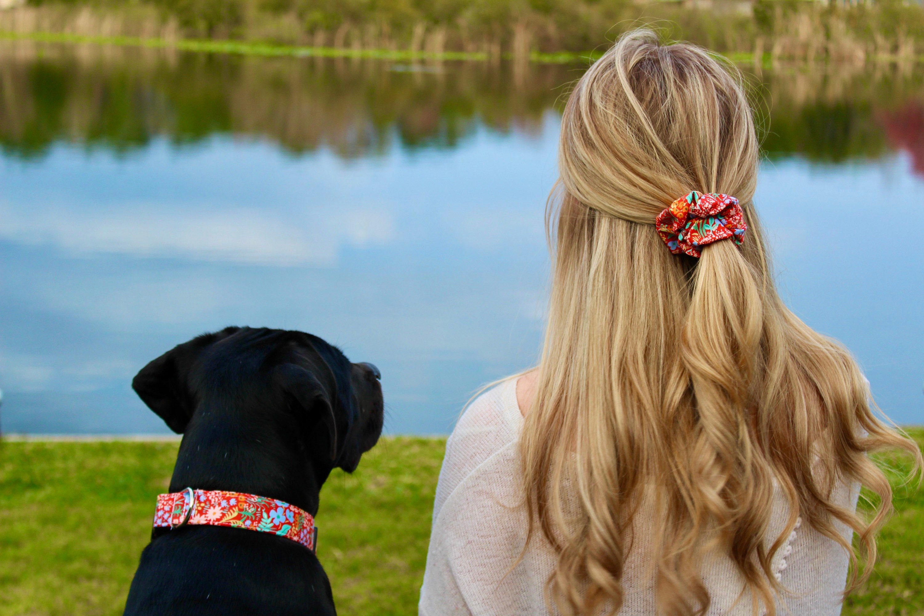 Girl Dog Harness Personalized Harness Female Dog Harness Etsy