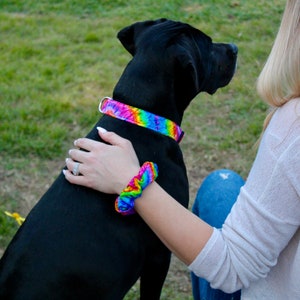 May include: A black dog wearing a rainbow-colored collar. A matching rainbow scrunchie is on a person's wrist. The collar and scrunchie feature a vibrant tie-dye pattern with shades of blue, green, yellow, and purple.