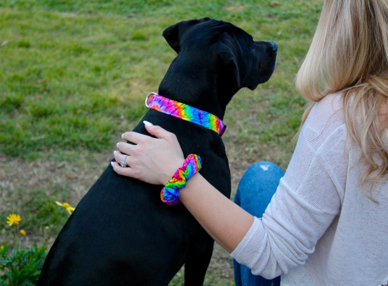 May include: A black dog wearing a rainbow-colored collar. A matching rainbow scrunchie is on a person's wrist. The collar and scrunchie feature a vibrant tie-dye pattern with shades of blue, green, yellow, and purple.