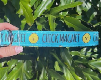 Chick Magnet Dog Collar - Funny Dog Collar - Chicken Dog Collar - Male Dog Collar