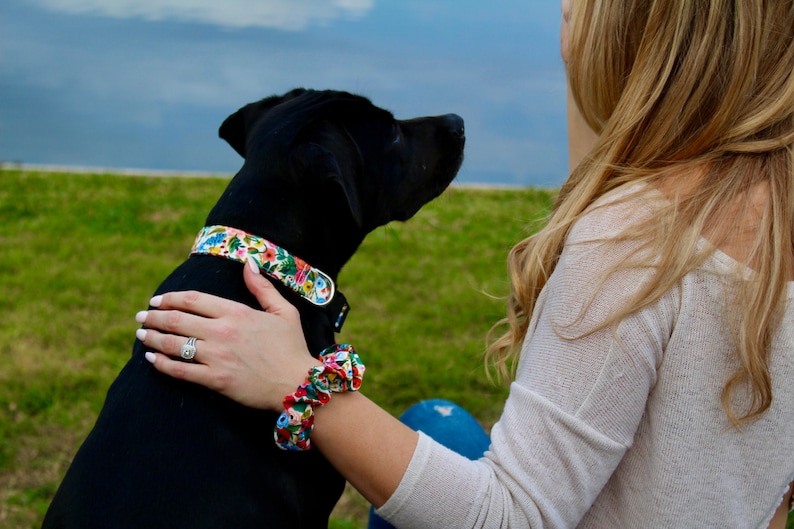 Girl Dog Harness Personalized Dog Harness Floral Dog Etsy