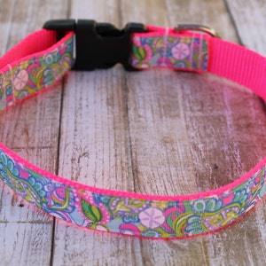 Sand Dollar Dog Collar - Designer Inspired Dog Collar - Beach Dog Collar - Personalized Dog Collar - Nautical Dog Harness - Summer Collar