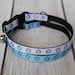 see more listings in the Cats & XS Dogs section