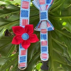 All American Dog Collar