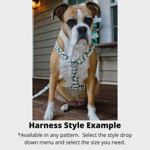 May include: A brown and white Boxer dog wearing a harness featuring a repeating pattern of small white daisies with yellow centers on a dark green background. The harness has adjustable straps that cross over the chest and around the torso.