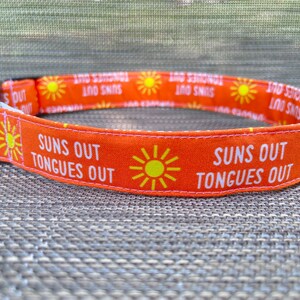 Op de afbeelding: Oranje hondenriem met de witte tekst "SUNS OUT TONGUES OUT". De riem heeft een herhalend patroon van gele zonnen. Met een zwarte kunststof gesp en een zilveren metalen D-ring.