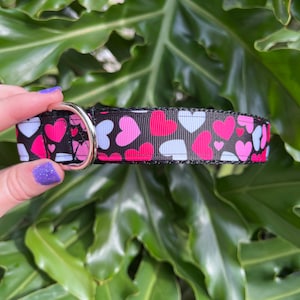 Vibrant Hearts Dog Collar - Love Dog Collar - Personalizable Dog Collar - Valentine's Day Dog Leash - Unisex Valentine Collar