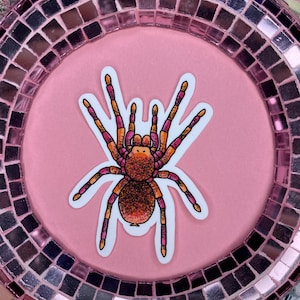 Può includere: Un piatto decorativo rosa con un bordo a mosaico. Un adesivo di un ragno colorato è centrato sul piatto. Il ragno ha segni arancioni, rosa e marroni.