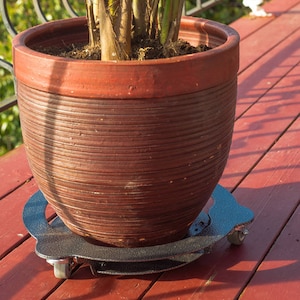 May include: A large terracotta pot with a plant inside sits on a black rolling plant stand with wheels. The stand is on a red wooden deck.