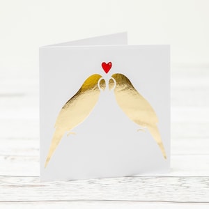 Amor pássaros casal com coração vermelho cartão para aniversário de casamento-cartão de casamento-dia dos namorados-eu te amo cartão-cartão de almas gêmeas