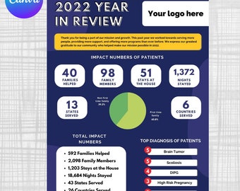 Year in Review One Pager, Annual Report, Graphic Design, Fundraising Event, Customizable, Non-profit, Volunteers, Donors, Digital Download