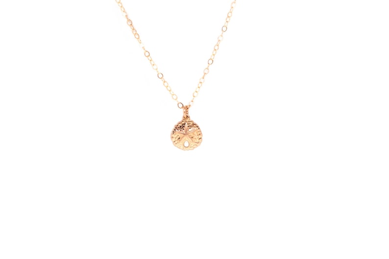 Gold Sand Dollar Necklace 14k gold filled charm on 14k gold | Etsy