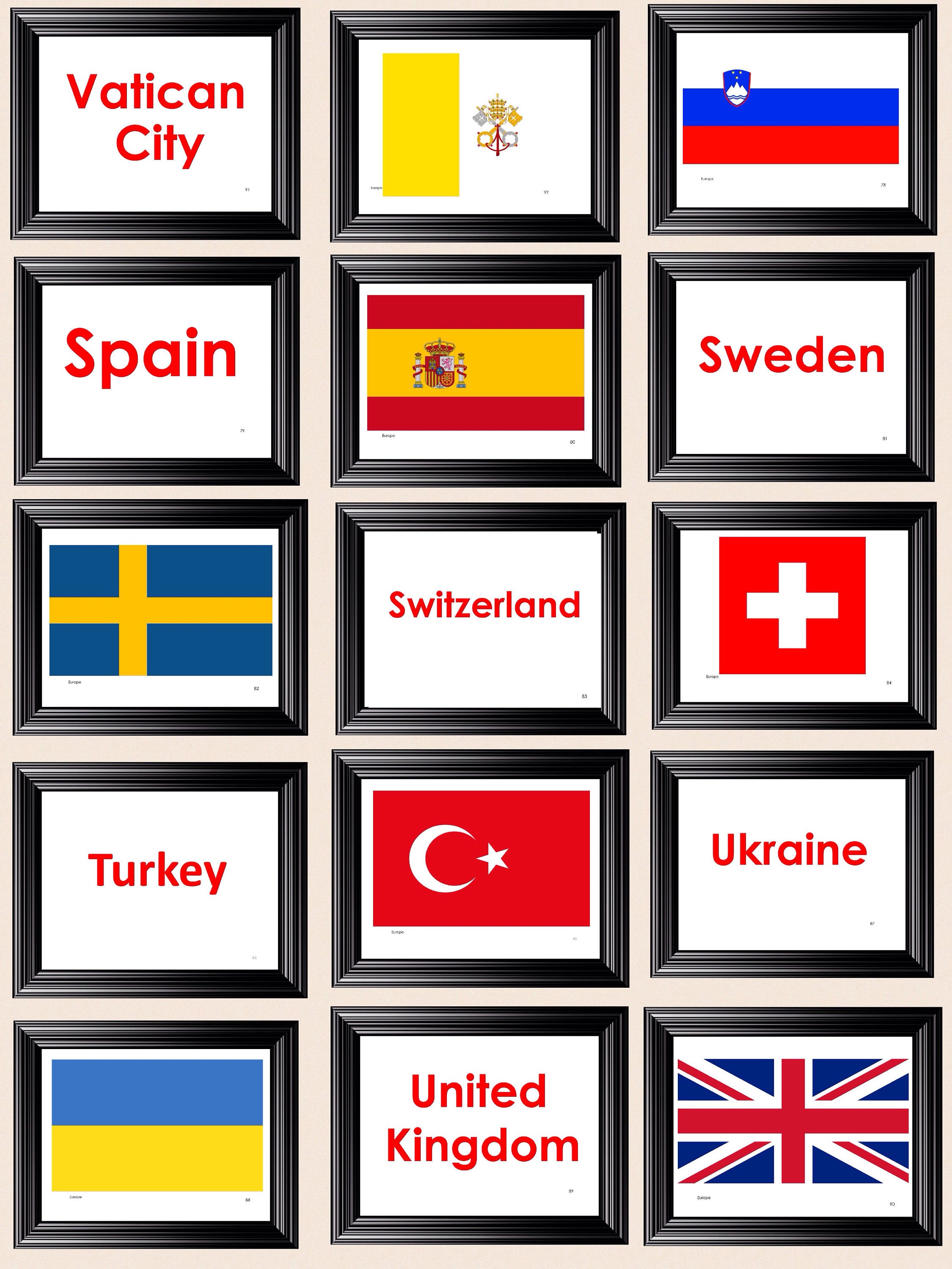 Animal & National Flags Kids Baby Word Flash Cards for Educational Learning 